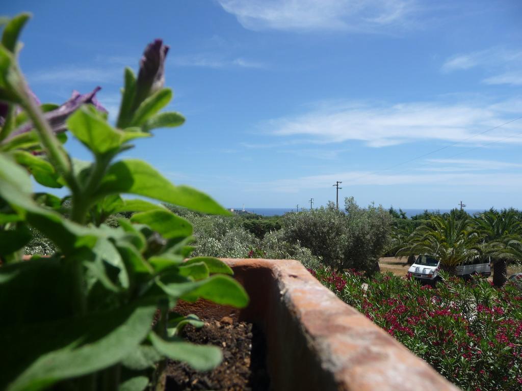 Masseria Serine Villa Santa Maria di Leuca Екстериор снимка