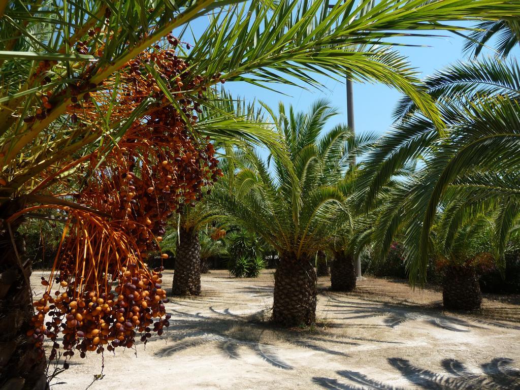 Masseria Serine Santa Maria di Leuca Екстериор снимка